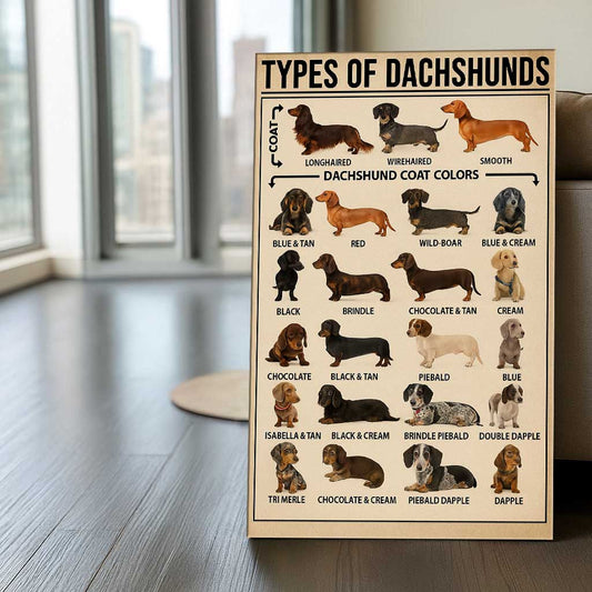 Types of Dachshunds Canvas Wall Art, Dog Breed Chart, Dachshund Coat Colors and Styles