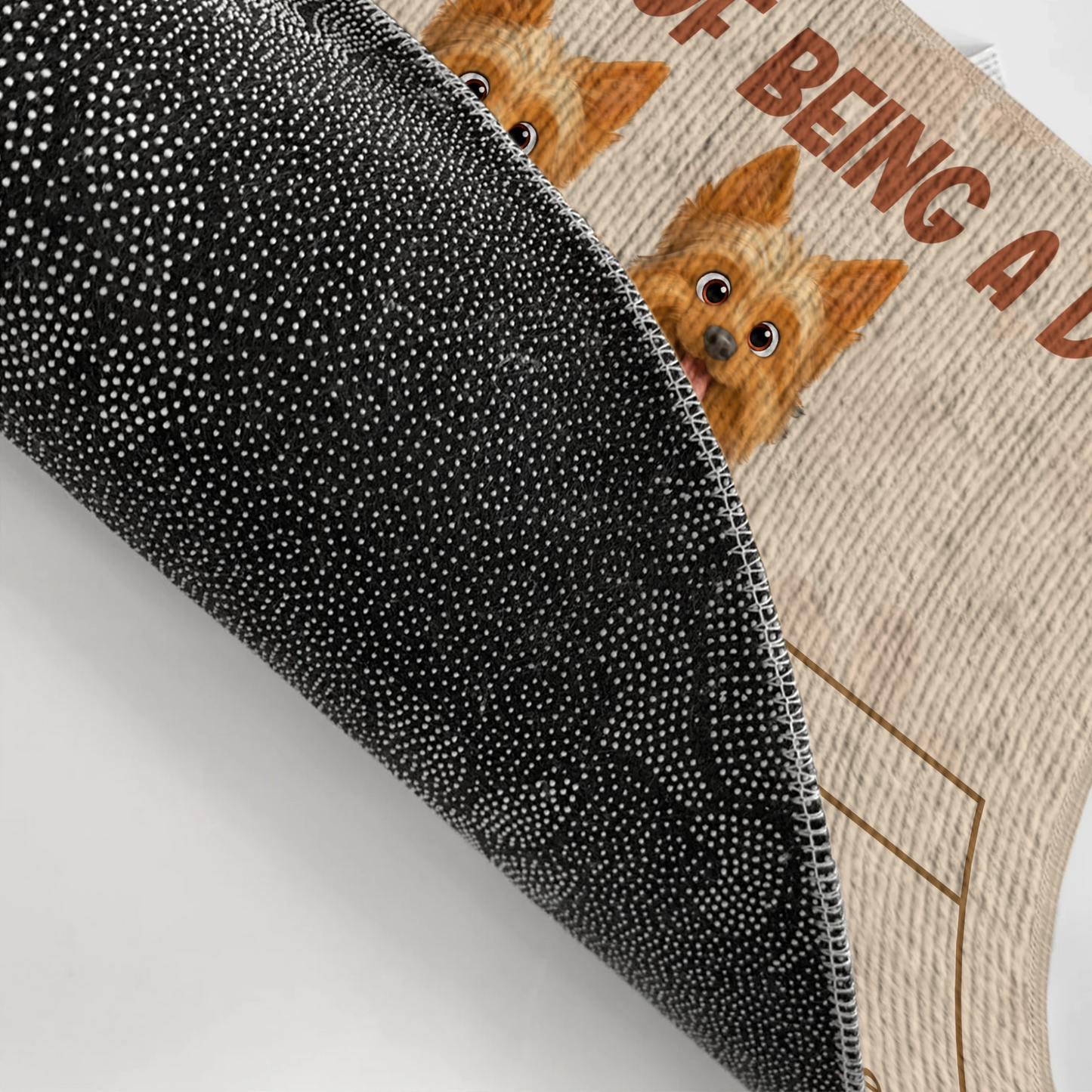 Funny Pros and Cons of Being a Dog -  Personalized Doormat-DM-NM30-HN13-WEB3