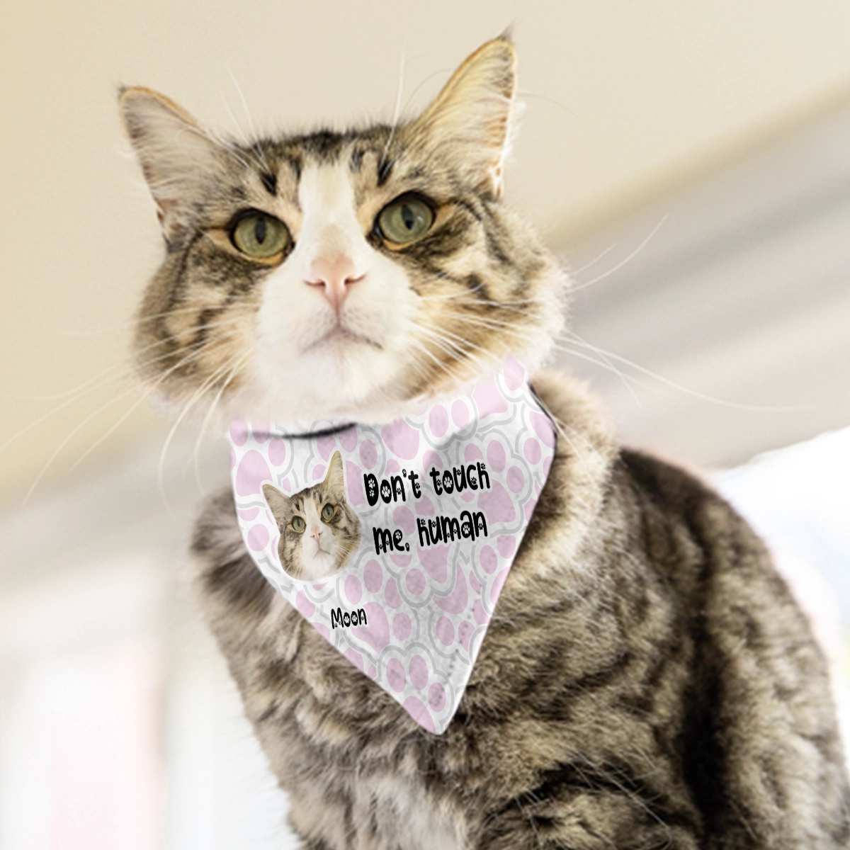 Don’t Touch Me, Human - Funny Gift For Pet - Personalized Pet Bandana