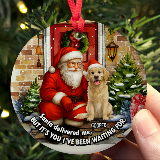 Personalized Dog Ceramic Ornament - Santa Delivered Me Christmas Gift-web3