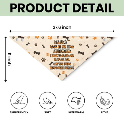 Personalized Pet Bandana - Custom Dog Bandana with Name Ansd Funny Quote-PB-KL34-HN12-web1
