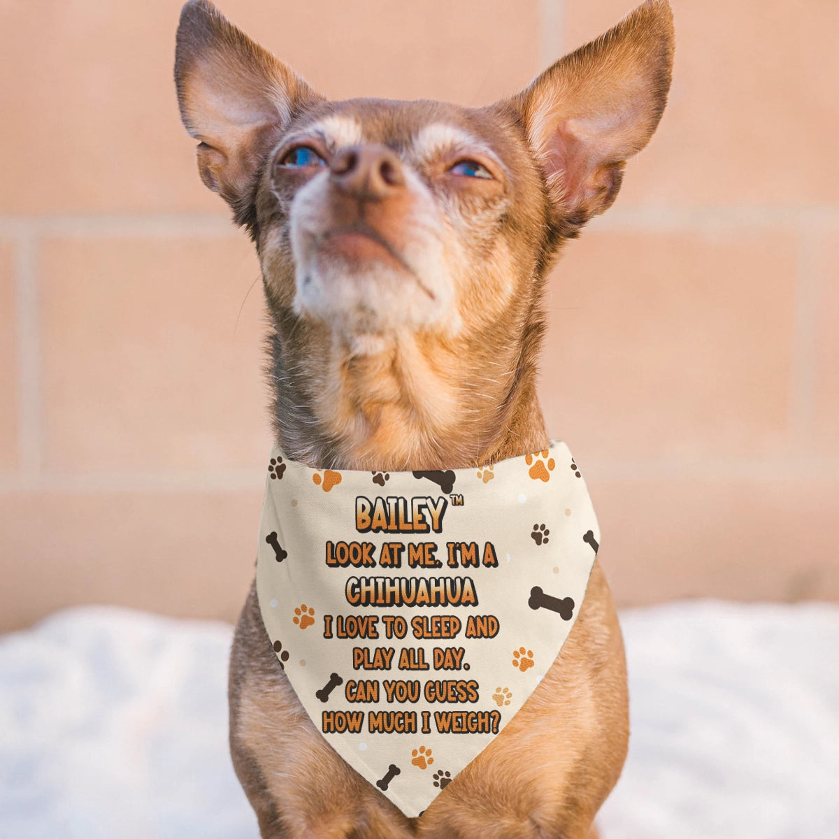 Personalized Pet Bandana - Custom Dog Bandana with Name Ansd Funny Quote-PB-KL34-HN12-web2