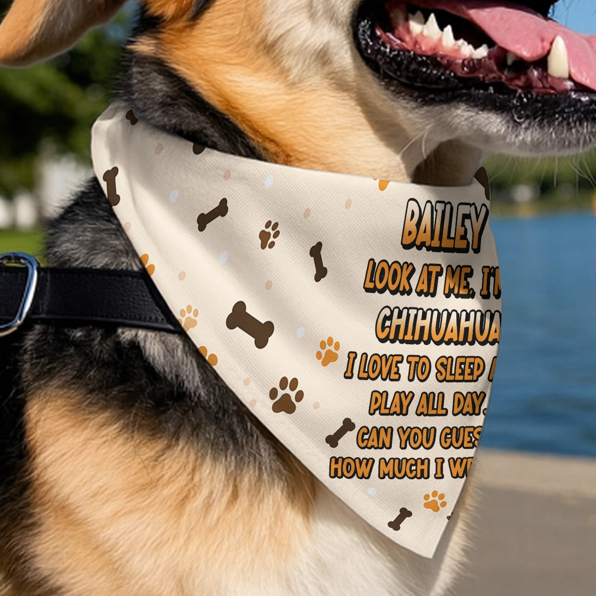 Personalized Pet Bandana - Custom Dog Bandana with Name Ansd Funny Quote-PB-KL34-HN12-web3