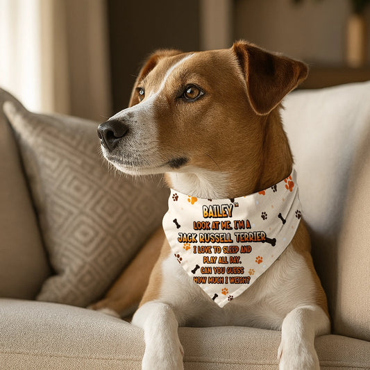 Personalized Pet Bandana - Custom Dog Bandana with Name Ansd Funny Quote-PB-KL34-HN12-web4