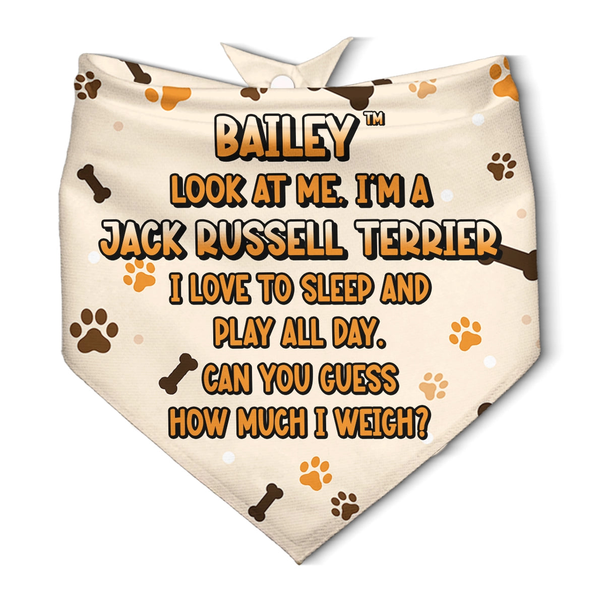 Personalized Pet Bandana - Custom Dog Bandana with Name Ansd Funny Quote-PB-KL34-HN12-web5