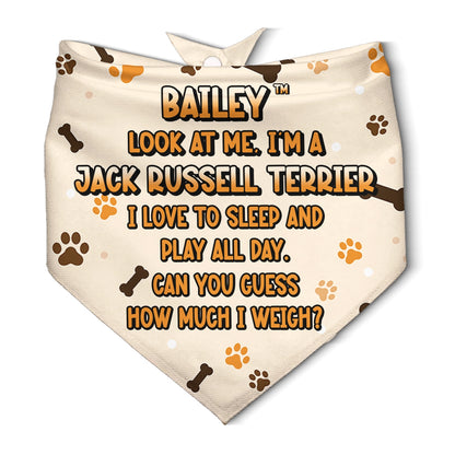 Personalized Pet Bandana - Custom Dog Bandana with Name Ansd Funny Quote-PB-KL34-HN12-web5