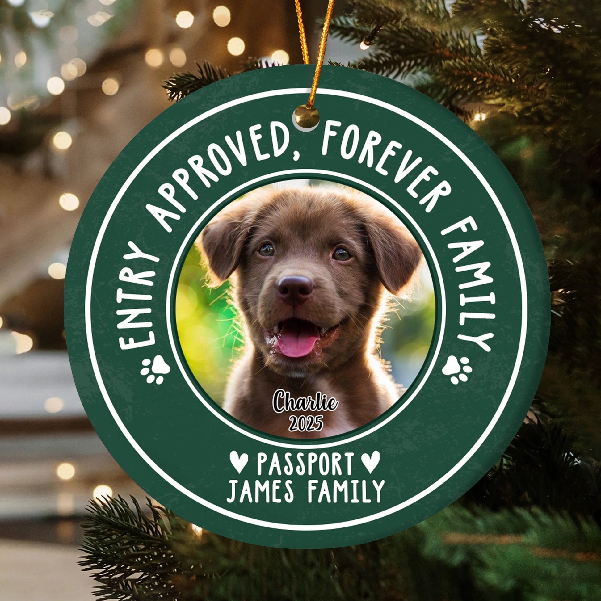 Personalized Pet Christmas Ceramic Ornament - 'Entry Approved, Forever Family' Custom Dog Photo OR-NM32-HN55-WEB2