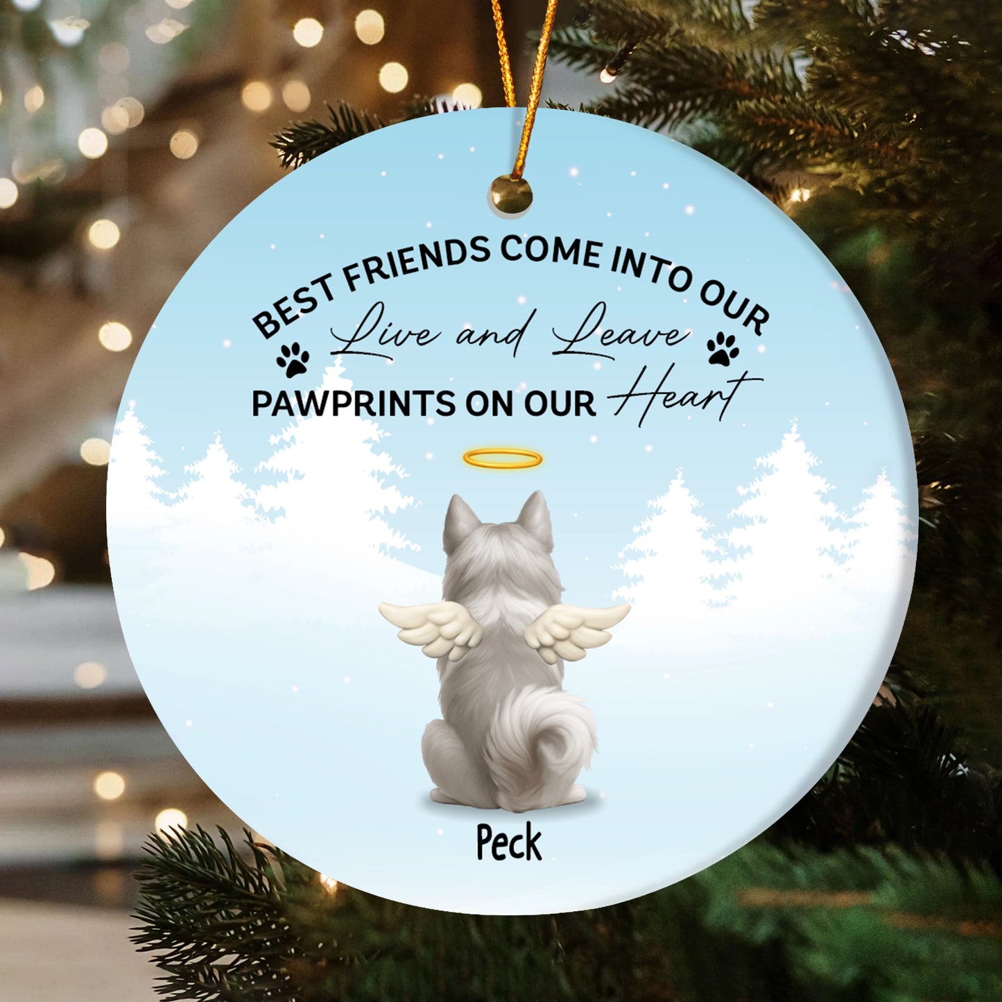 Personalized Pet Memorial Ceramic Ornament - Dog Loss Remembrance Gift-OR-HH11-YV68-web2