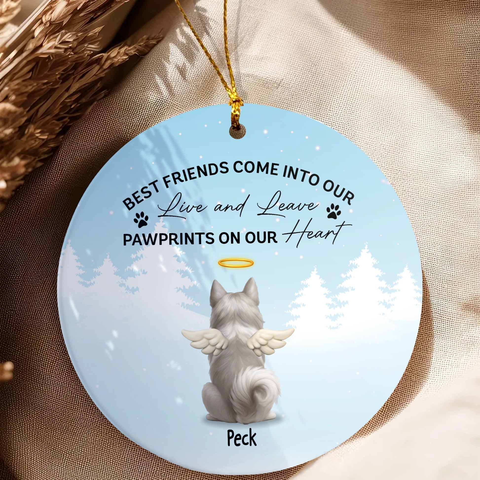 Personalized Pet Memorial Ceramic Ornament - Dog Loss Remembrance Gift-OR-HH11-YV68-web5